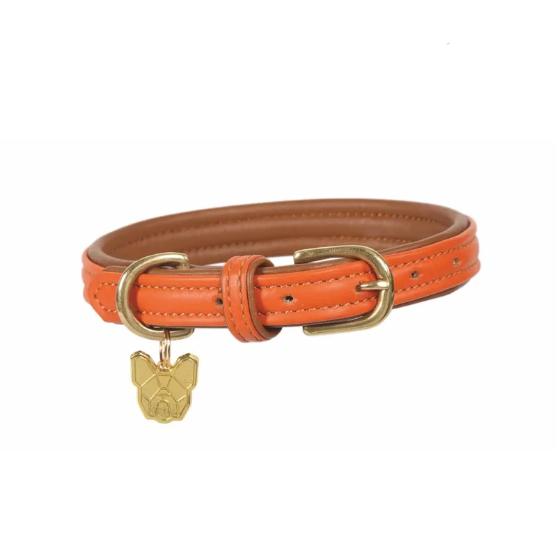 Digby and Fox Padded Leather Dog Collar - Orange